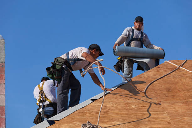 Best Residential Roof Replacement  in Burlington, CO